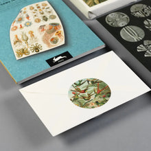 Load image into Gallery viewer, Dutch Label, Sticker & Tape Book, multiple styles