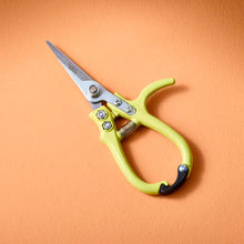 Load image into Gallery viewer, Gardening Shears/Pruner, multiple styles