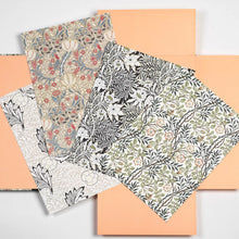 Load image into Gallery viewer, Dutch Museum-Quality Print Portfolio, multiple styles