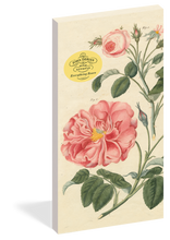 Load image into Gallery viewer, John Derian Notepad