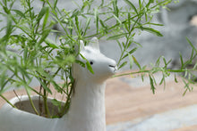 Load image into Gallery viewer, Ceramic Llama Planter/Container
