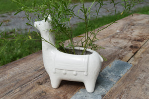 Ceramic Llama Planter/Container