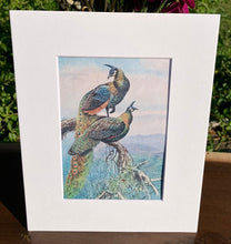 Load image into Gallery viewer, Peacock Print in White Matte