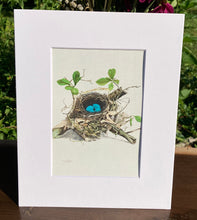 Load image into Gallery viewer, Wood Thrush Nest with Eggs Print in White Matte