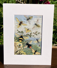 Load image into Gallery viewer, Bees Print in White Matte