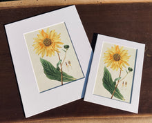 Load image into Gallery viewer, Sunflower Print in White Matte