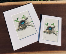 Load image into Gallery viewer, Wood Thrush Nest with Eggs Print in White Matte