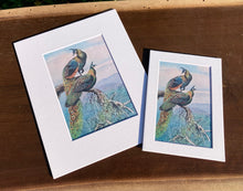 Load image into Gallery viewer, Peacock Print in White Matte