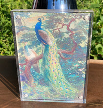 Load image into Gallery viewer, Double-Sided Peacock Artwork in Acrylic Frame