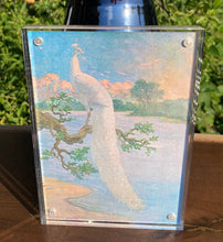 Load image into Gallery viewer, Double-Sided Peacock Artwork in Acrylic Frame