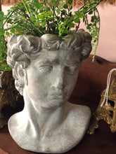 Load image into Gallery viewer, Cement Apollo Planter