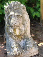 Load image into Gallery viewer, Vintage Concrete Lion Statue