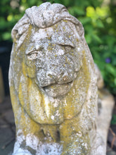 Load image into Gallery viewer, Vintage Concrete Lion Statue