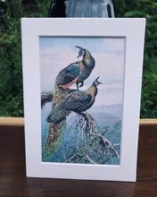 Load image into Gallery viewer, Peacock Print in White Matte
