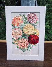 Load image into Gallery viewer, Carnations Print in White Matte