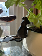 Load image into Gallery viewer, Mouse Plant Pot Hangers