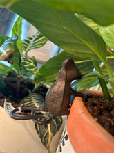 Load image into Gallery viewer, Mouse Plant Pot Hangers
