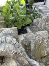 Load image into Gallery viewer, Vintage Concrete Lion Statue