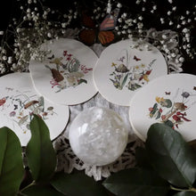 Load image into Gallery viewer, Oval Still-Life Card, multiple styles