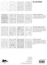 Load image into Gallery viewer, Dutch "Old Masters" Coloring Book, multiple styles