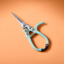 Load image into Gallery viewer, Gardening Shears/Pruner, multiple styles