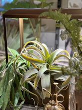 Load image into Gallery viewer, Brass UV-Light Grow House