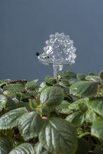 Load image into Gallery viewer, Hedgehog Water Globe/Trickle Watering Tube