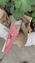 Load and play video in Gallery viewer, Gardening Shears/Pruner, multiple styles
