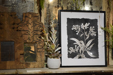 Load image into Gallery viewer, Grayscale Botanical Art, multiple styles
