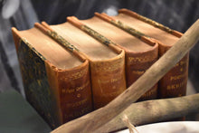 Load image into Gallery viewer, Antique Leatherbound Book