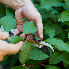 Load image into Gallery viewer, Gardening Shears/Pruner, multiple styles
