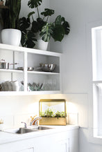 Load image into Gallery viewer, Brass UV-Light Grow House