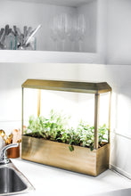 Load image into Gallery viewer, Brass UV-Light Grow House