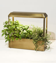 Load image into Gallery viewer, Brass UV-Light Grow House