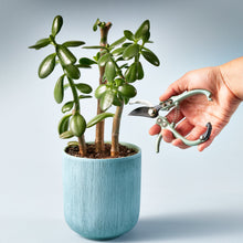 Load image into Gallery viewer, Gardening Shears/Pruner, multiple styles