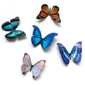Artisanal Paper Papillon Collection, multiple styles
