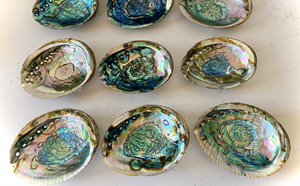 Large Abalone Shell/Dish