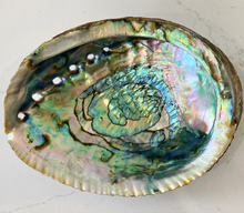 Load image into Gallery viewer, Large Abalone Shell/Dish
