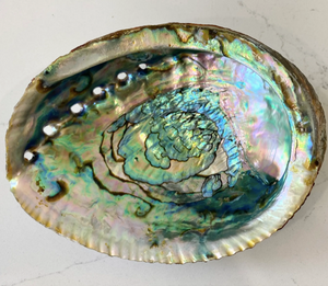 Large Abalone Shell/Dish
