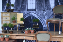 Load image into Gallery viewer, Mossy-Potted Topiary, multiple styles