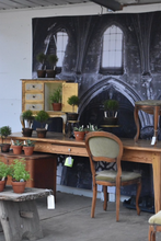 Load image into Gallery viewer, Mossy-Potted Topiary, multiple styles