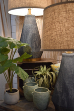 Load image into Gallery viewer, Faux Tillandsia, multiple styles