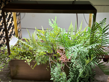 Load image into Gallery viewer, Brass UV-Light Grow House