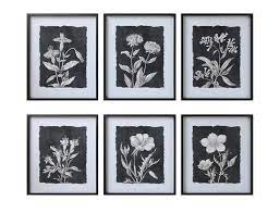 Grayscale Botanical Art, multiple styles