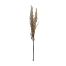 Load image into Gallery viewer, Dried Pampas Grass

