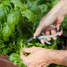 Load image into Gallery viewer, Gardening Shears/Pruner, multiple styles