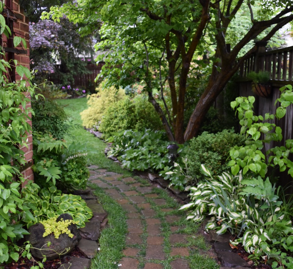 Garden Tour, pt 1: Garden Elements