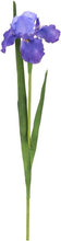 Load image into Gallery viewer, Faux Iris Stem
