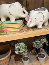 Load image into Gallery viewer, Ceramic Elephant Planter
