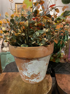 Terra-cotta Pot w/ Faux Foliage